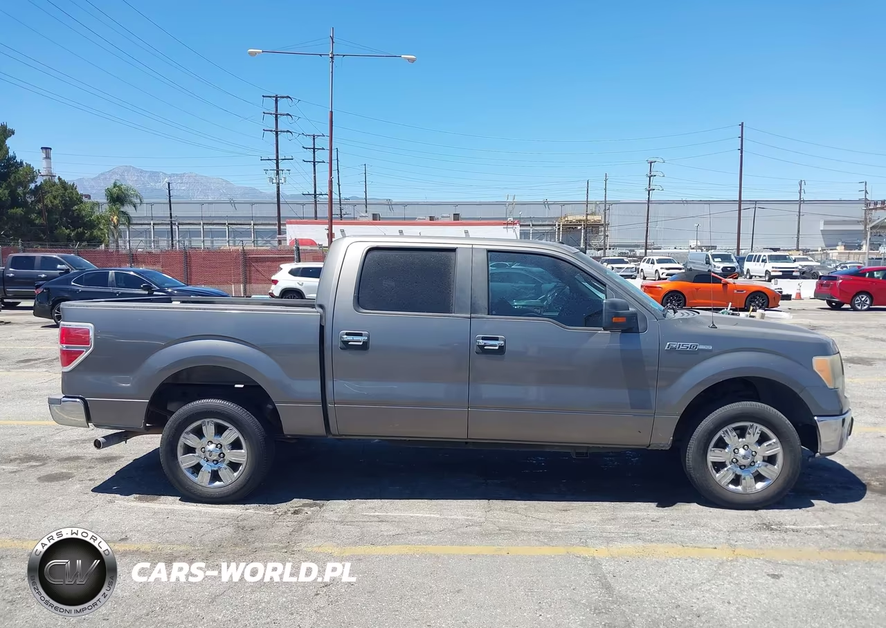 2010 Ford F-150 Fx2 Sport-Xl-Xlt VIN:1FTEW1C80AFB27714 - 13