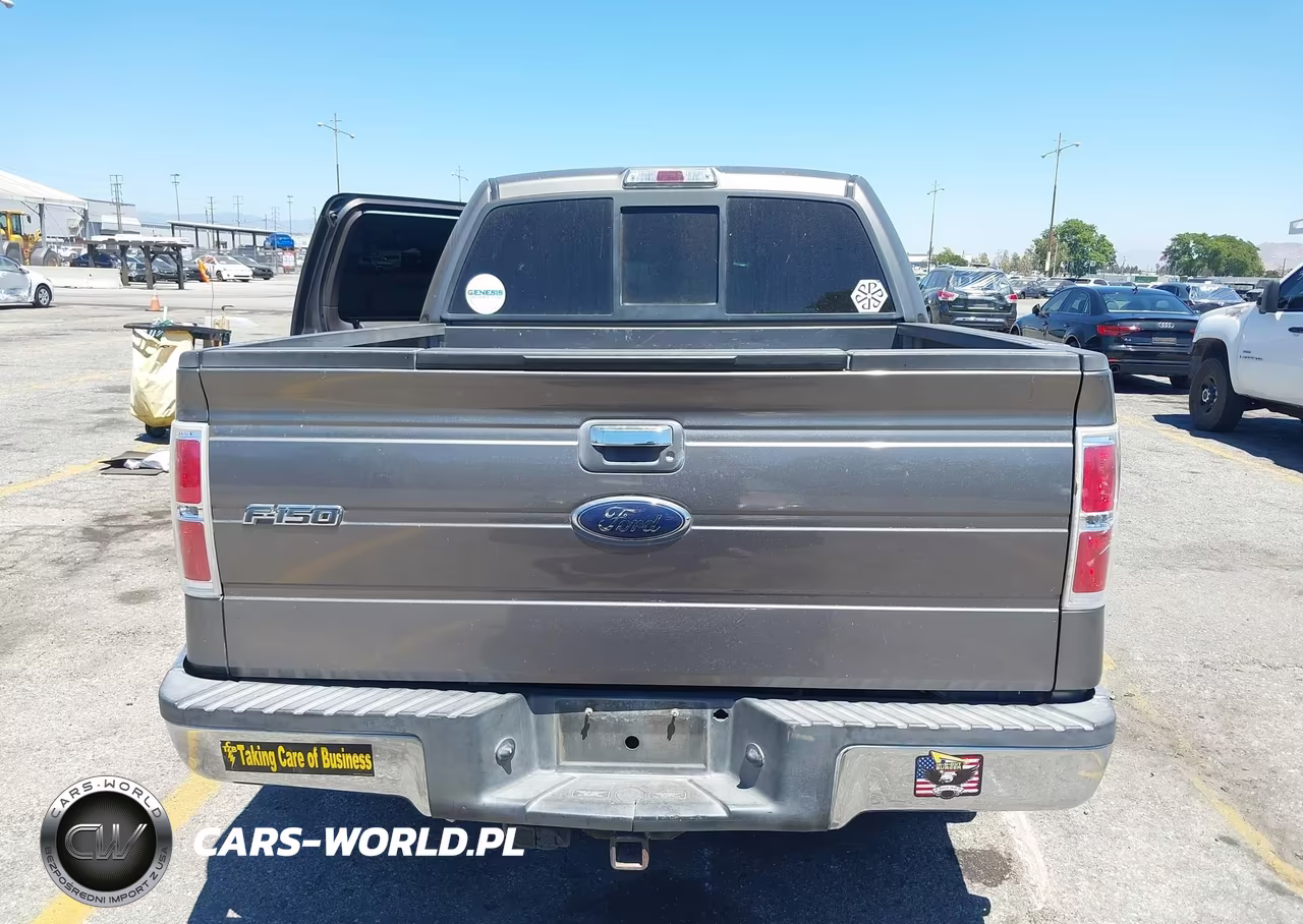 2010 Ford F-150 Fx2 Sport-Xl-Xlt VIN:1FTEW1C80AFB27714 - 16