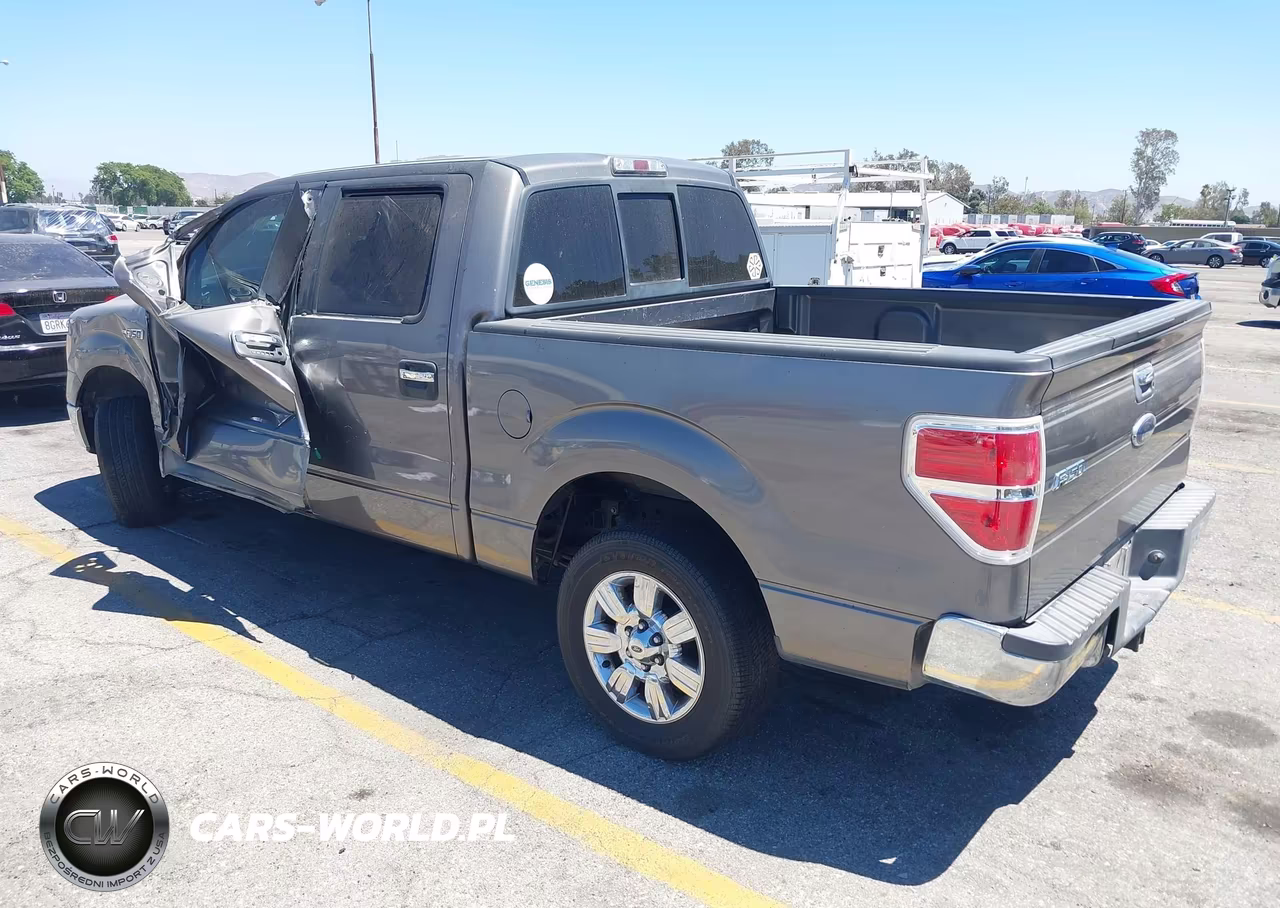 2010 Ford F-150 Fx2 Sport-Xl-Xlt VIN:1FTEW1C80AFB27714 - 3