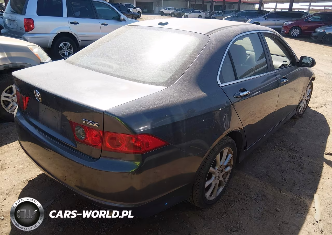 2006 Acura Tsx VIN:JH4CL96816C023024 - 4