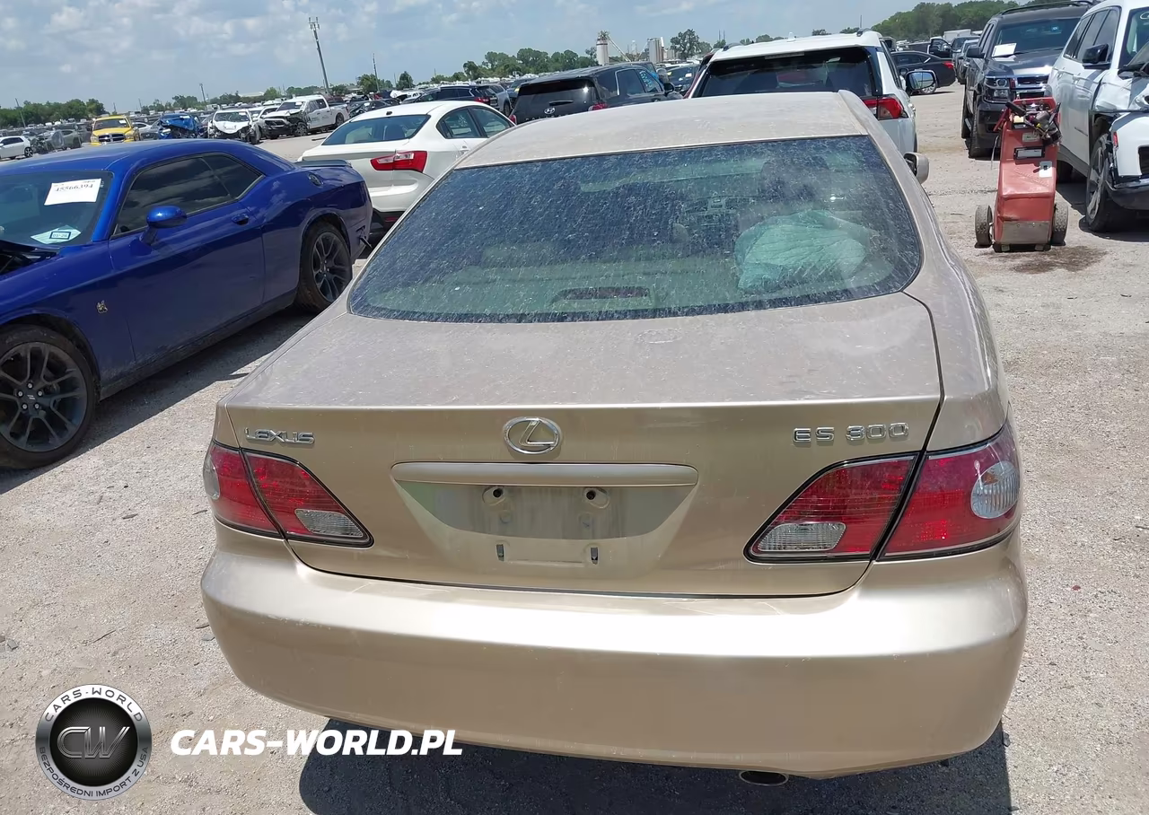 2002 Lexus Es 300 VIN:JTHBF30G020072775 - 16