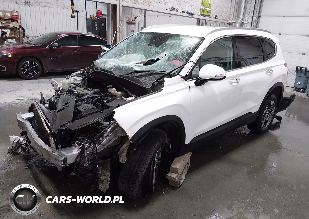 2023 Hyundai Santa Fe Sel VIN:5NMS2DAJ3PH548506 - 2