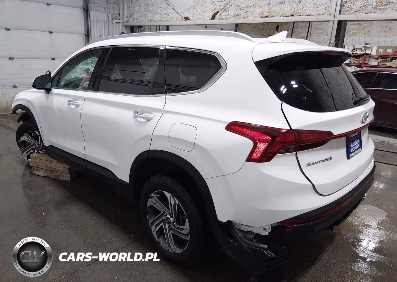 2023 Hyundai Santa Fe Sel VIN:5NMS2DAJ3PH548506 - 3