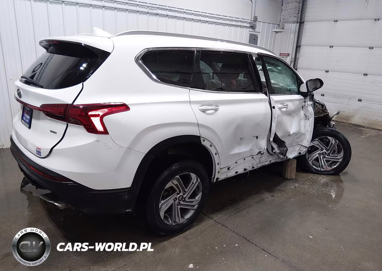 2023 Hyundai Santa Fe Sel VIN:5NMS2DAJ3PH548506 - 4