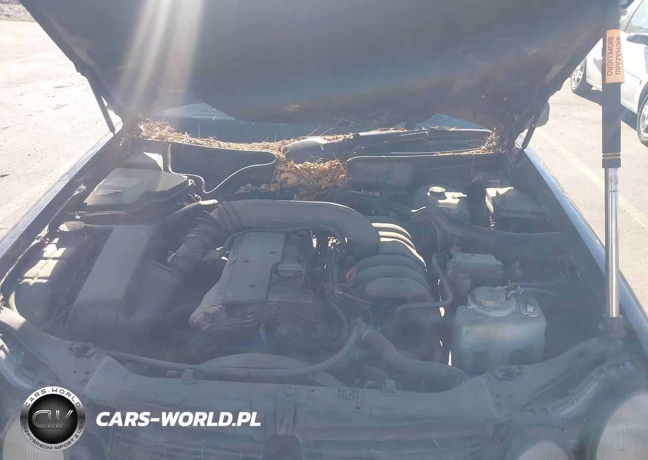 1997 Mercedes-Benz E 320 VIN:WDBJF55F7VA347404 - 10