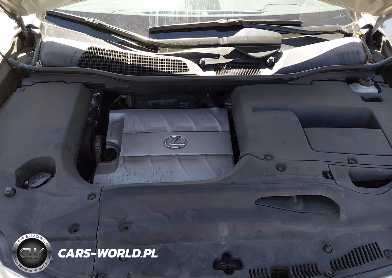 2013 Lexus Rx 350 VIN:JTJZK1BA3D2009697 - 10