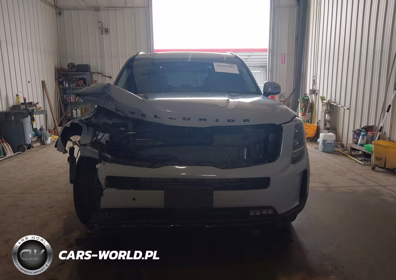 2022 Kia Telluride Sx VIN:5XYP5DHC4NG203528 - 13