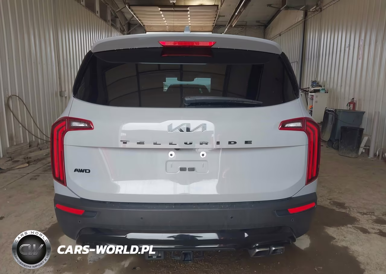 2022 Kia Telluride Sx VIN:5XYP5DHC4NG203528 - 17