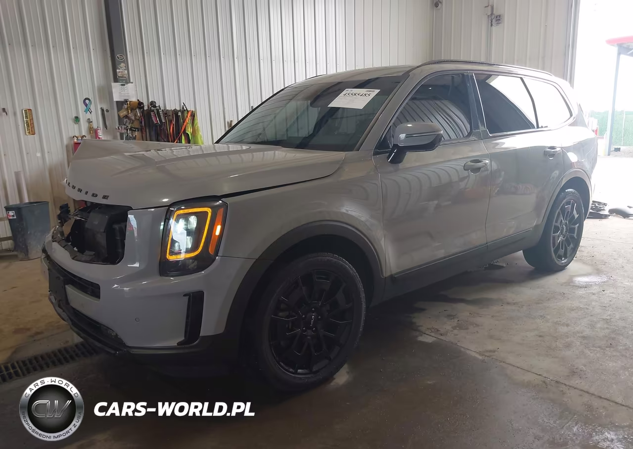 2022 Kia Telluride Sx VIN:5XYP5DHC4NG203528 - 2