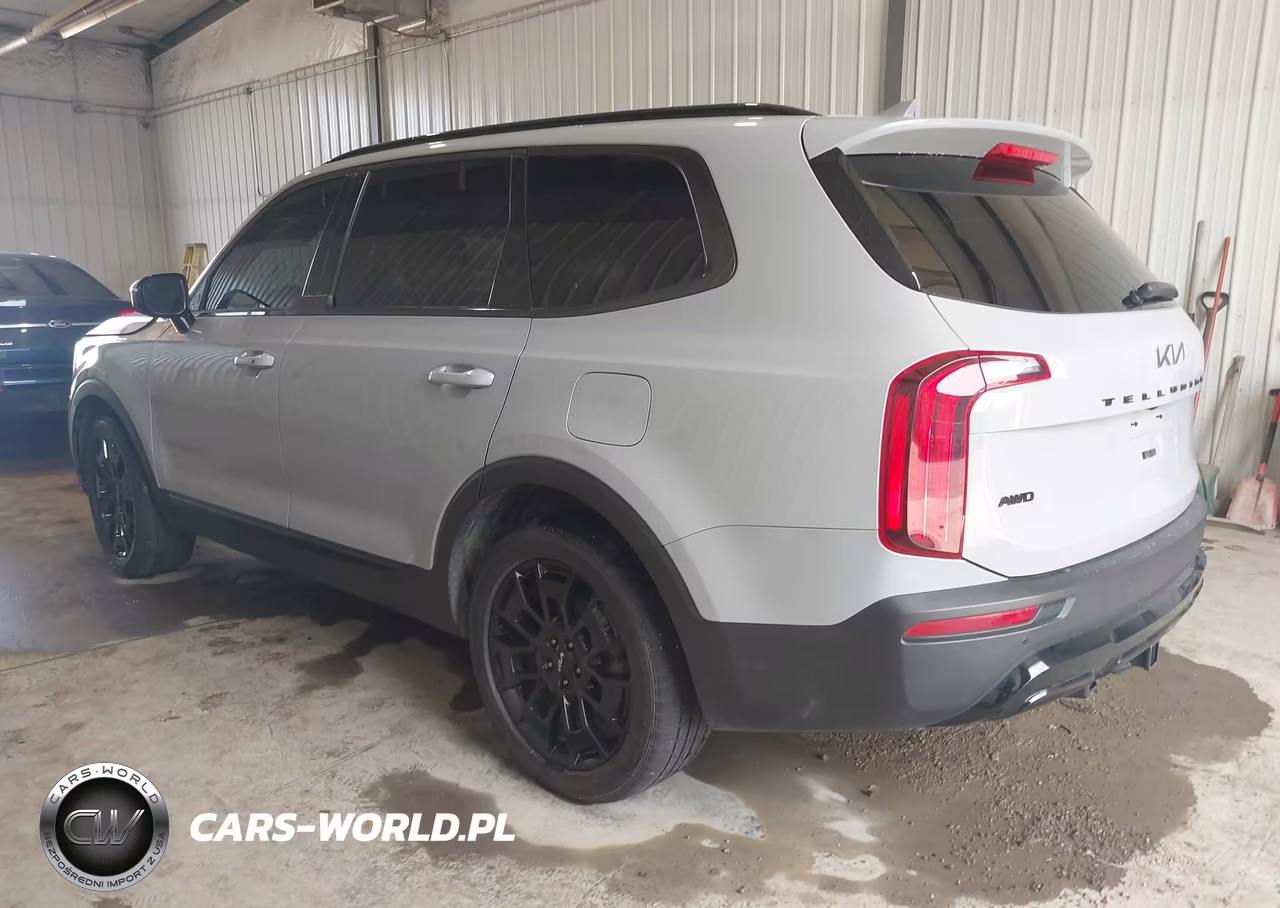 2022 Kia Telluride Sx VIN:5XYP5DHC4NG203528 - 3