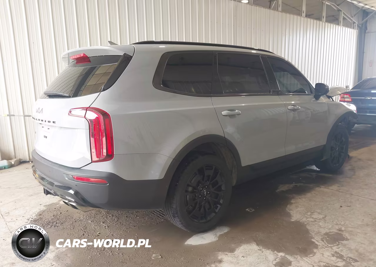 2022 Kia Telluride Sx VIN:5XYP5DHC4NG203528 - 4