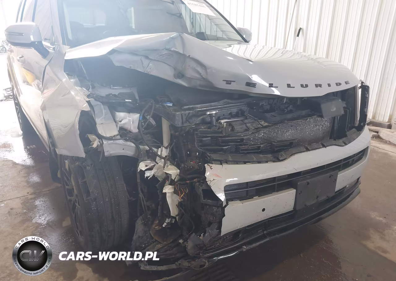 2022 Kia Telluride Sx VIN:5XYP5DHC4NG203528 - 6