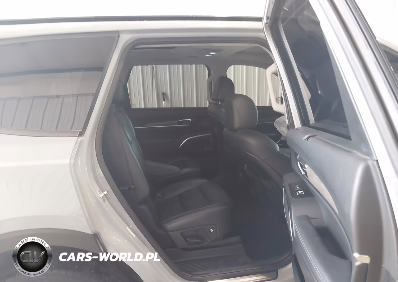 2022 Kia Telluride Sx VIN:5XYP5DHC4NG203528 - 8
