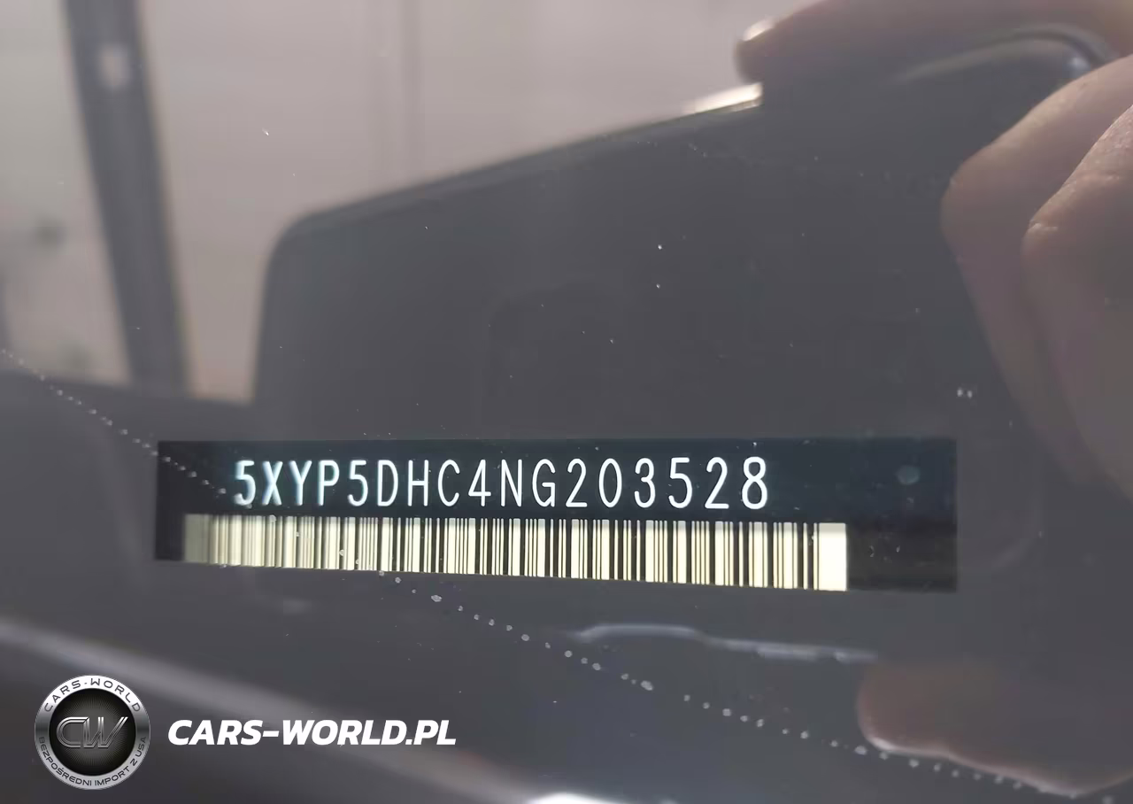 2022 Kia Telluride Sx VIN:5XYP5DHC4NG203528 - 9