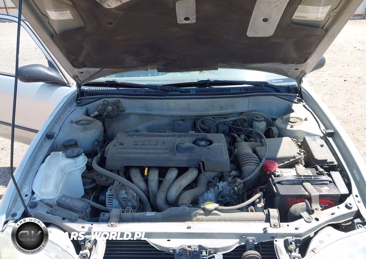 2000 Toyota Corolla Ce VIN:1NXBR12E9YZ313173 - 10
