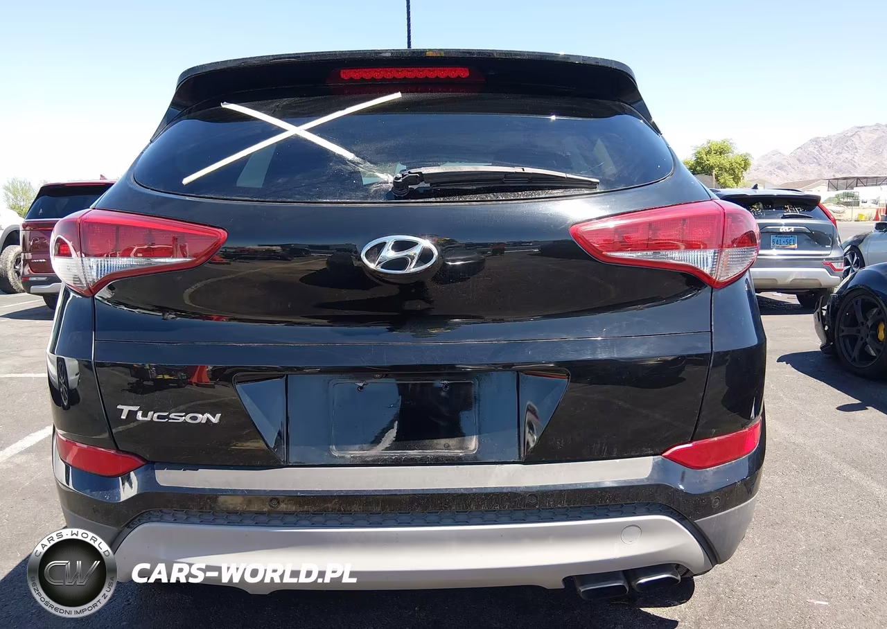 2017 Hyundai Tucson Value VIN:KM8J33A21HU568853 - 16