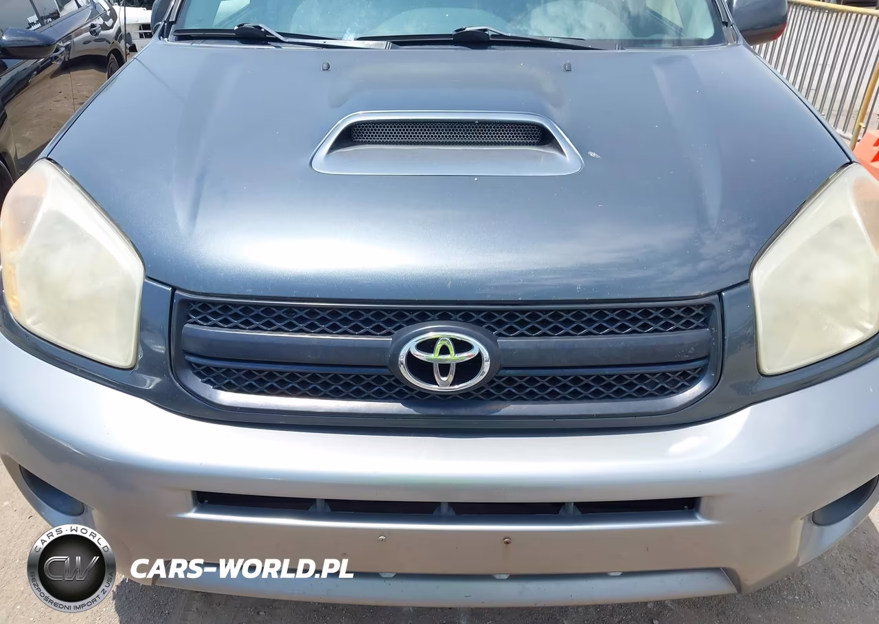 2004 Toyota Rav4 VIN:JTEGD20VX40025029 - 6