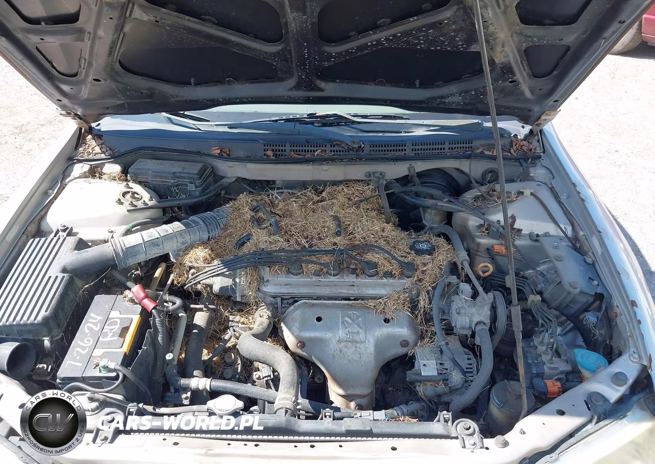 1999 Honda Accord Ex VIN:1HGCG5651XA073411 - 10