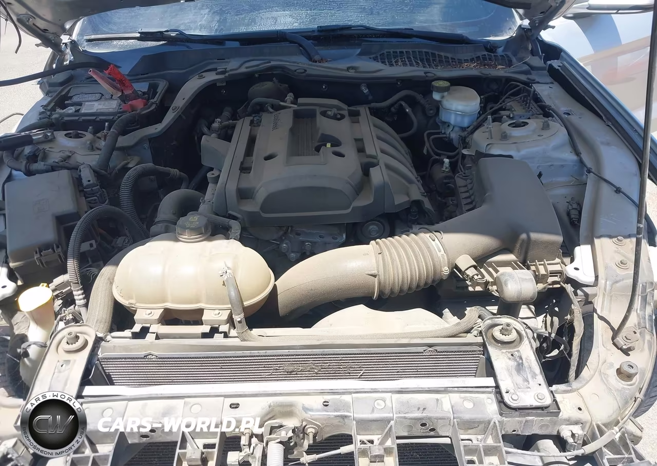 2019 Ford Mustang Ecoboost Premium VIN:1FA6P8TH3K5190006 - 10