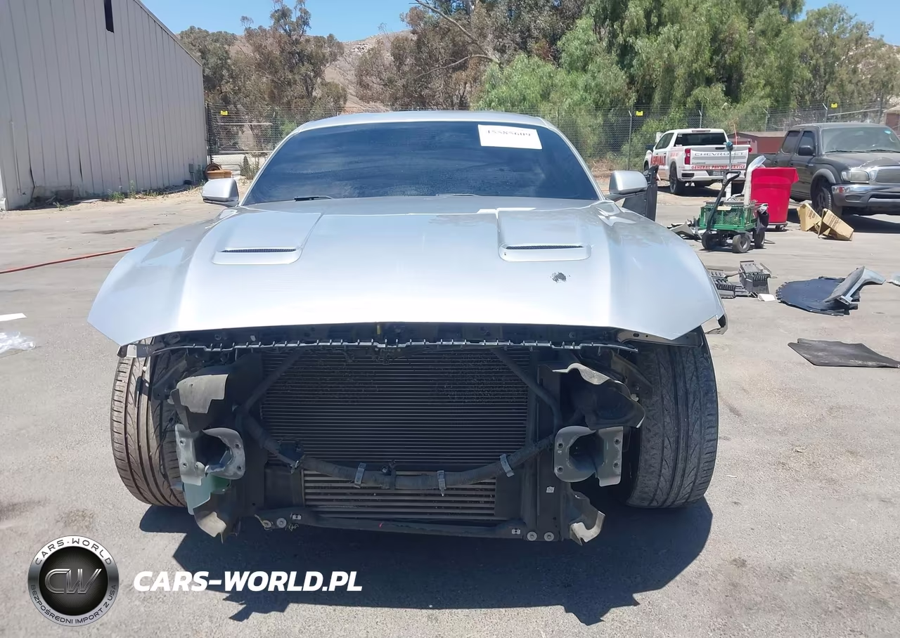 2019 Ford Mustang Ecoboost Premium VIN:1FA6P8TH3K5190006 - 13