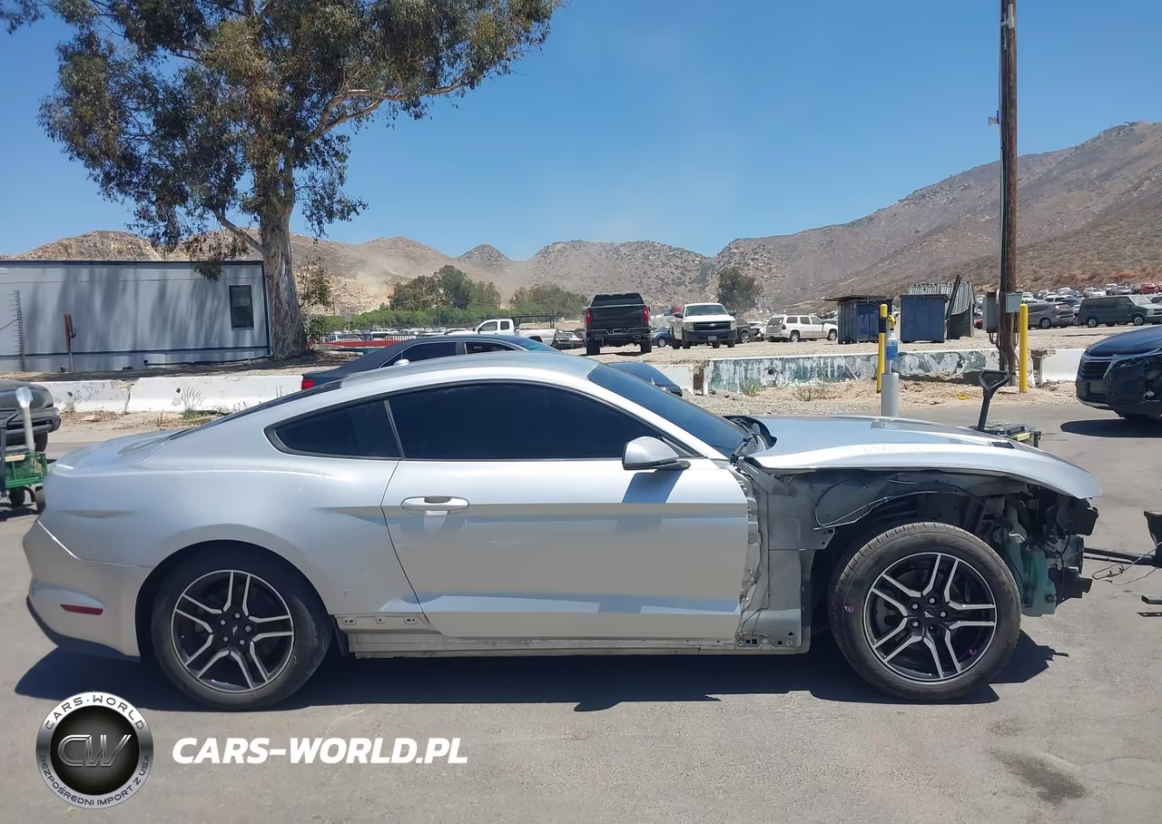 2019 Ford Mustang Ecoboost Premium VIN:1FA6P8TH3K5190006 - 14