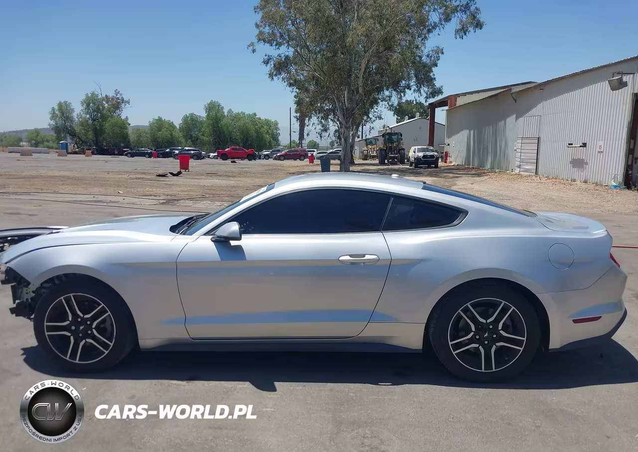 2019 Ford Mustang Ecoboost Premium VIN:1FA6P8TH3K5190006 - 15