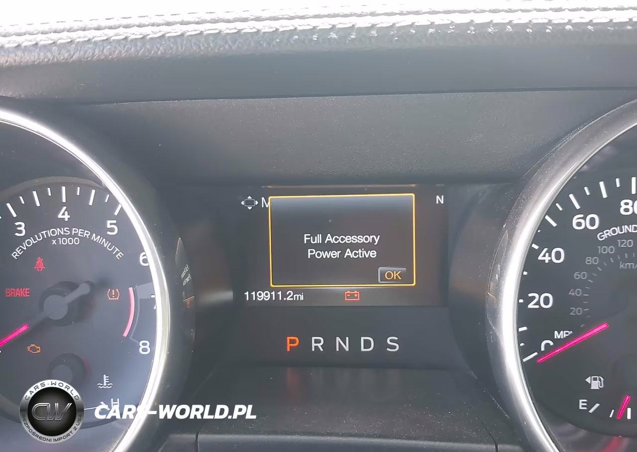 2019 Ford Mustang Ecoboost Premium VIN:1FA6P8TH3K5190006 - 16