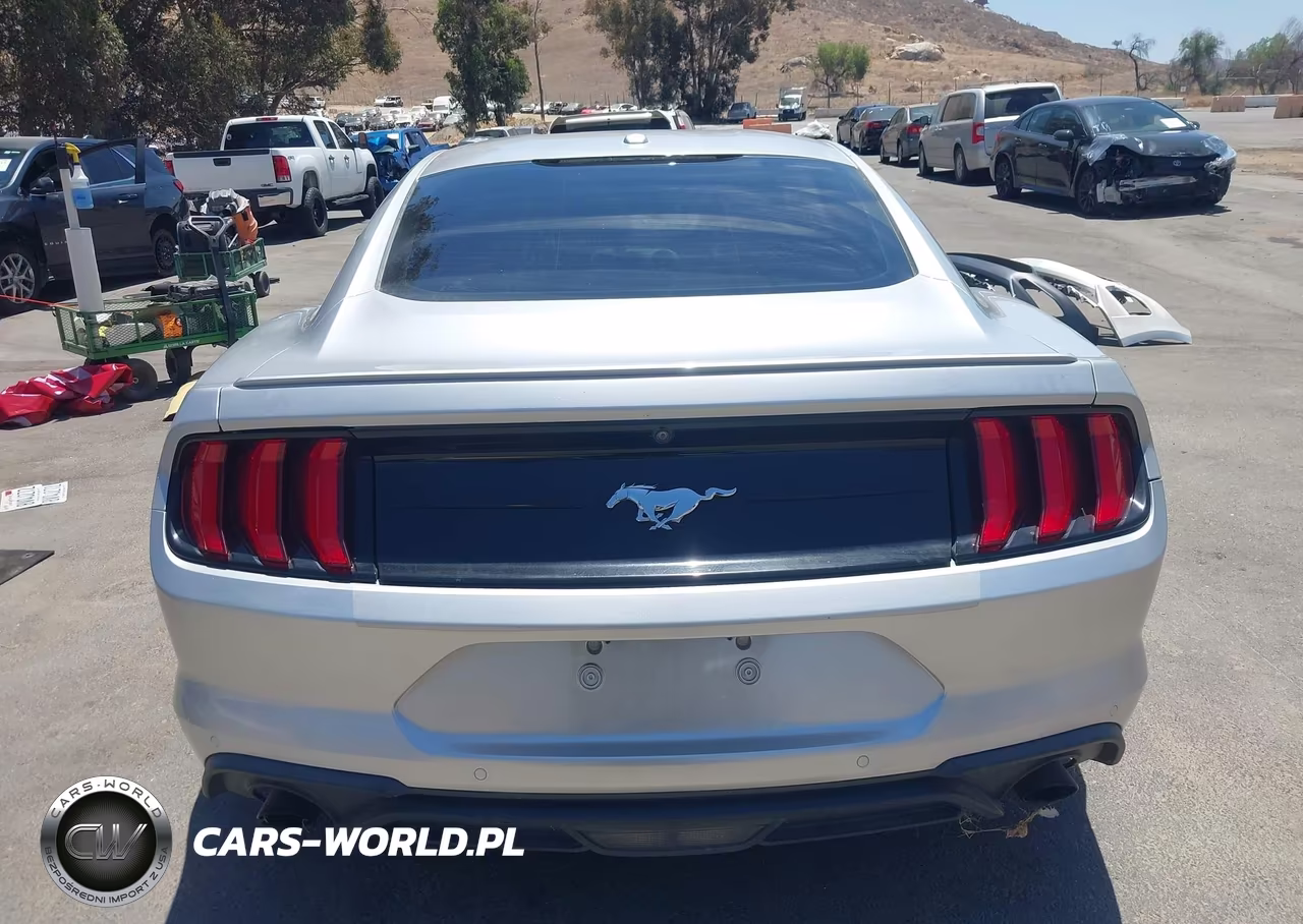 2019 Ford Mustang Ecoboost Premium VIN:1FA6P8TH3K5190006 - 17