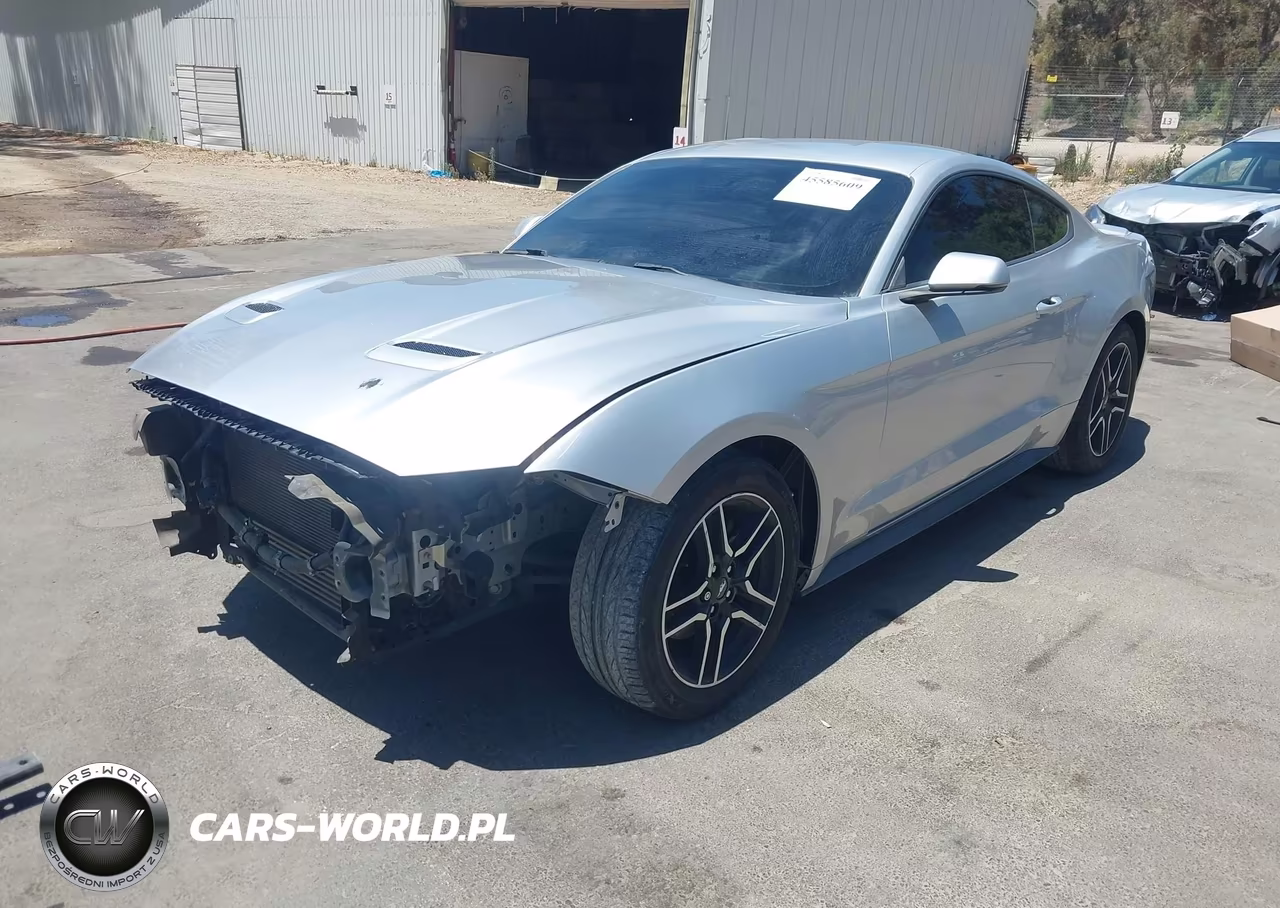 2019 Ford Mustang Ecoboost Premium VIN:1FA6P8TH3K5190006 - 2