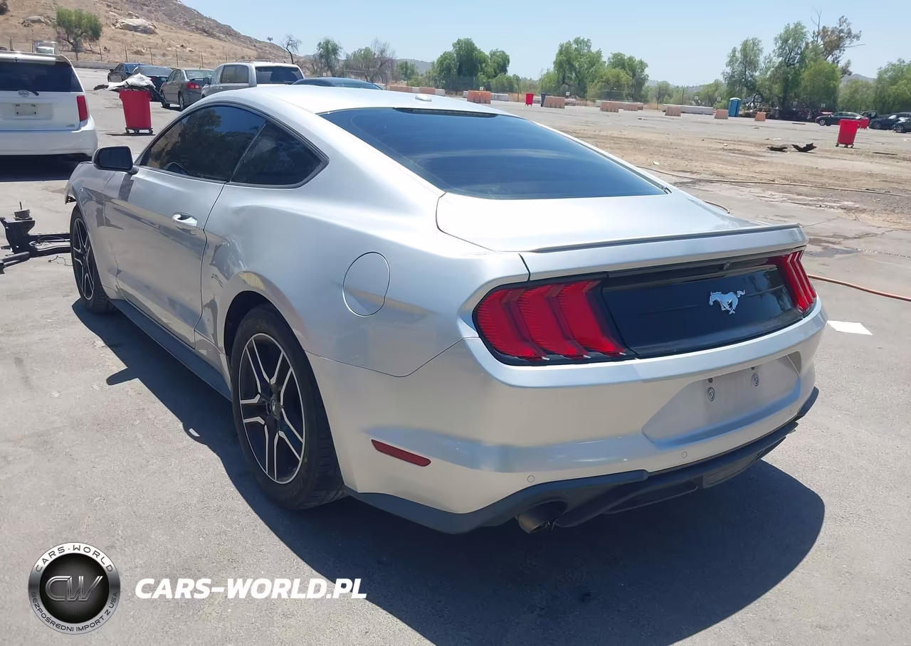 2019 Ford Mustang Ecoboost Premium VIN:1FA6P8TH3K5190006 - 3