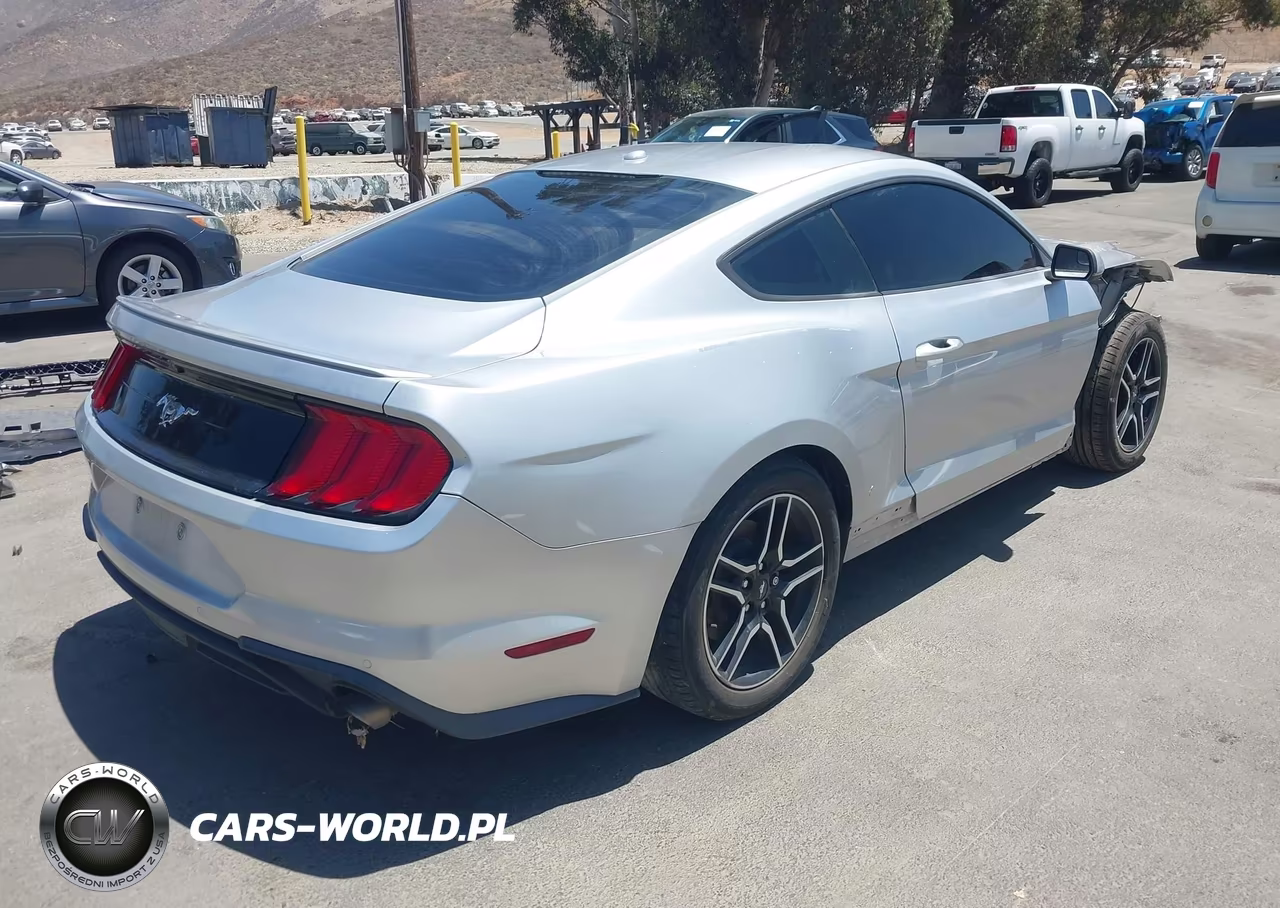 2019 Ford Mustang Ecoboost Premium VIN:1FA6P8TH3K5190006 - 4