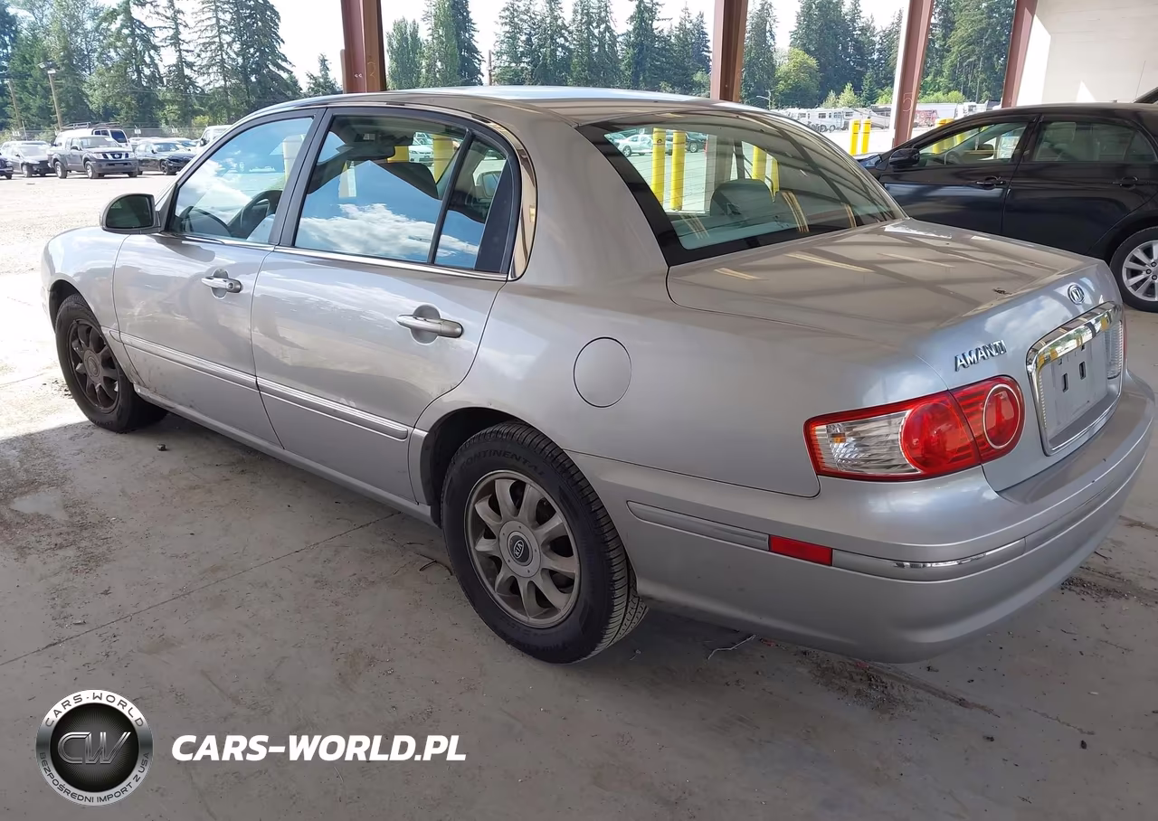 2005 Kia Amanti VIN:KNALD124555065697 - 3