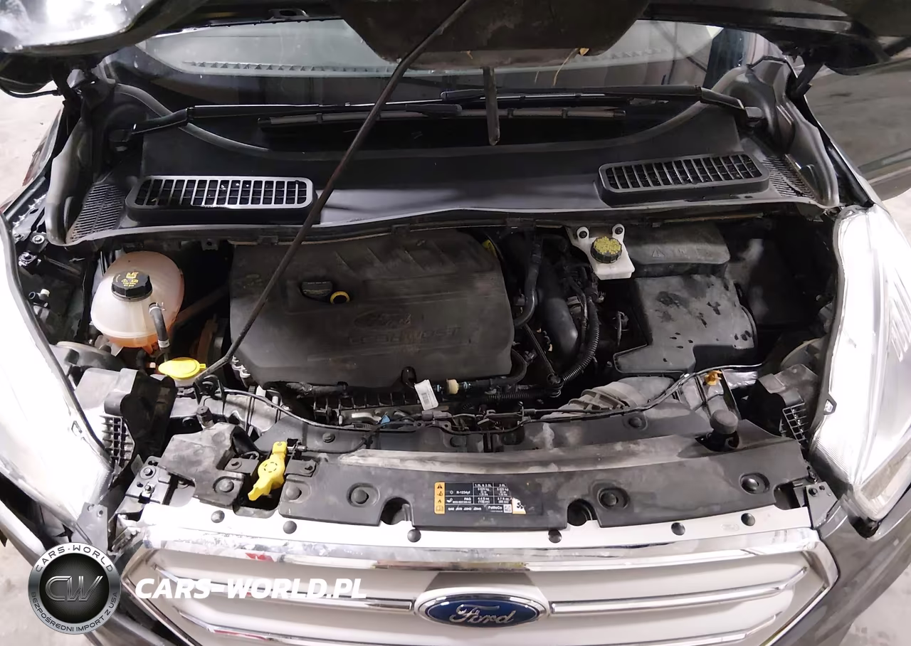 2019 Ford Escape Se VIN:1FMCU9GD6KUA92513 - 10