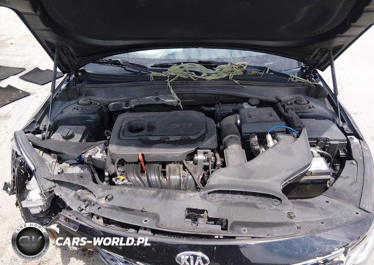 2019 Kia Optima Lx VIN:5XXGT4L39KG343362 - 10
