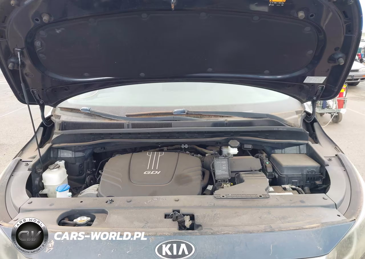 2016 Kia Sedona Sx VIN:KNDMC5C12G6169762 - 10