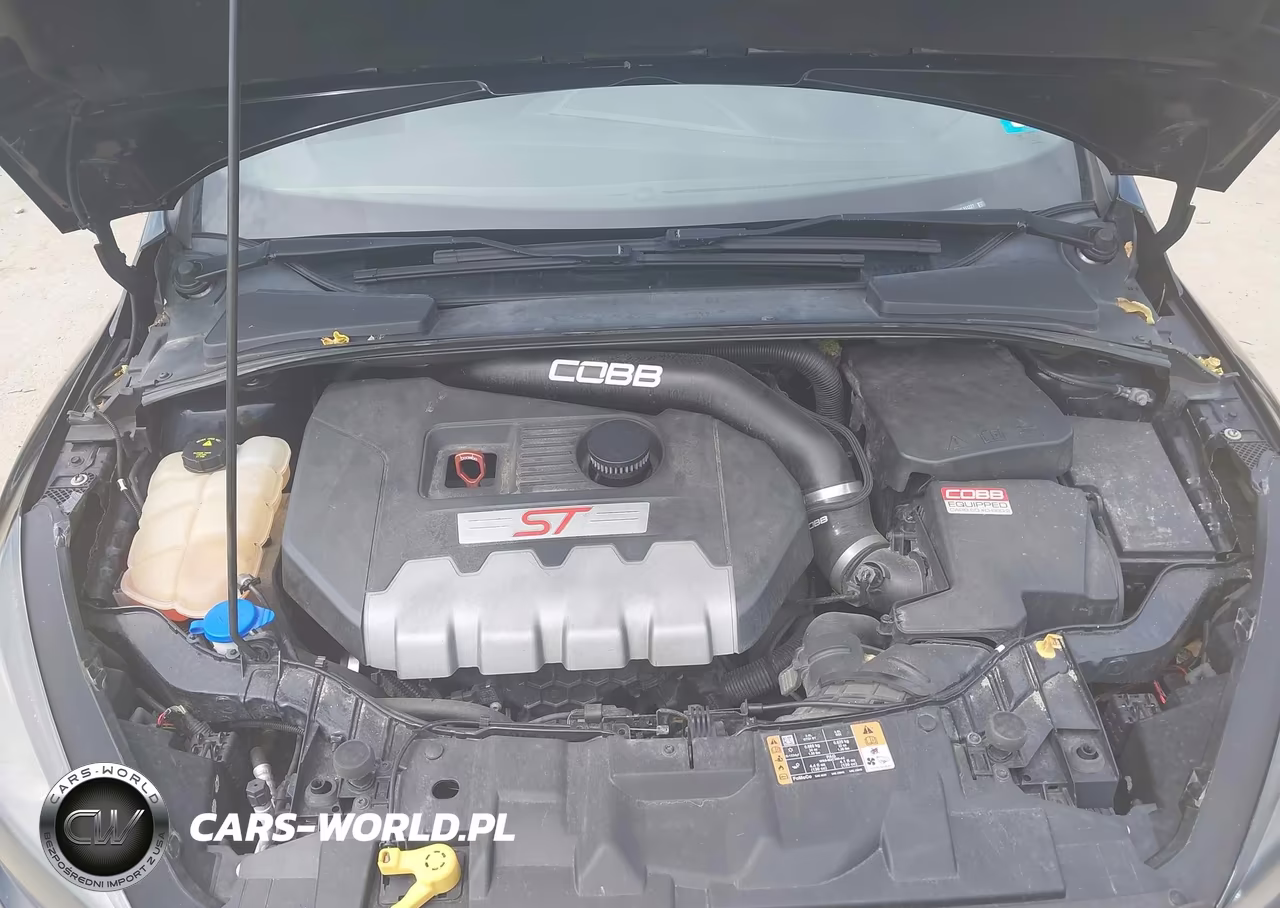 2017 Ford Focus St VIN:1FADP3L92HL311227 - 10