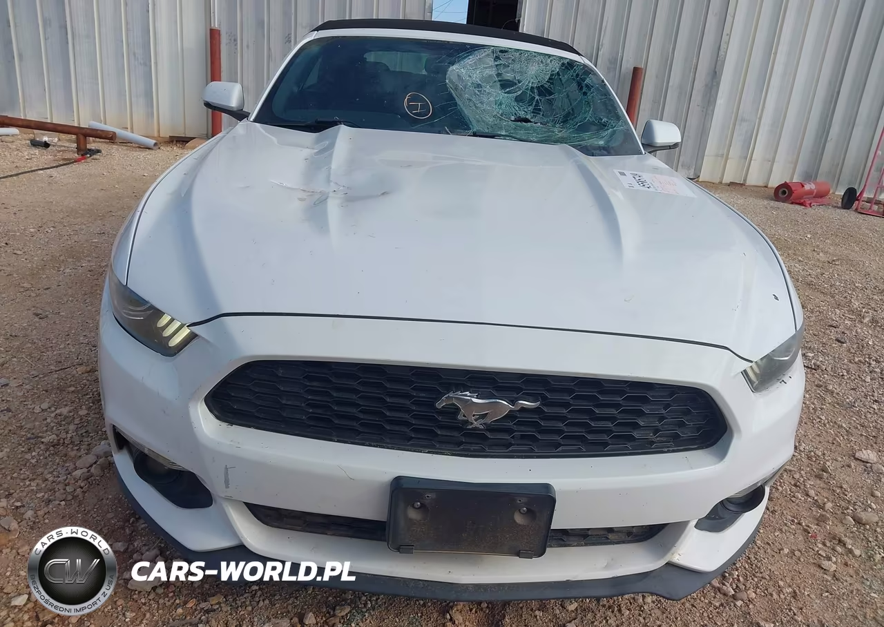 2016 Ford Mustang Ecoboost Premium VIN:1FATP8UHXG5243339 - 12