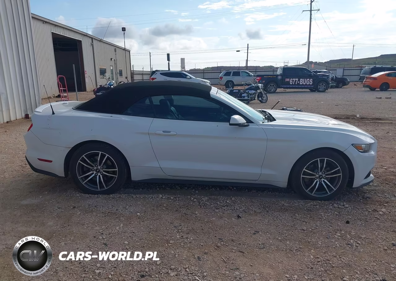 2016 Ford Mustang Ecoboost Premium VIN:1FATP8UHXG5243339 - 13