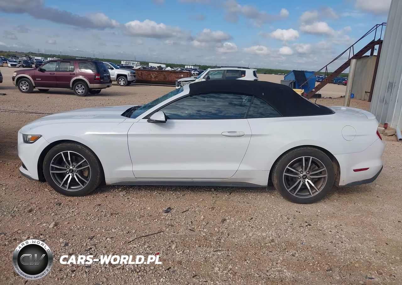 2016 Ford Mustang Ecoboost Premium VIN:1FATP8UHXG5243339 - 14
