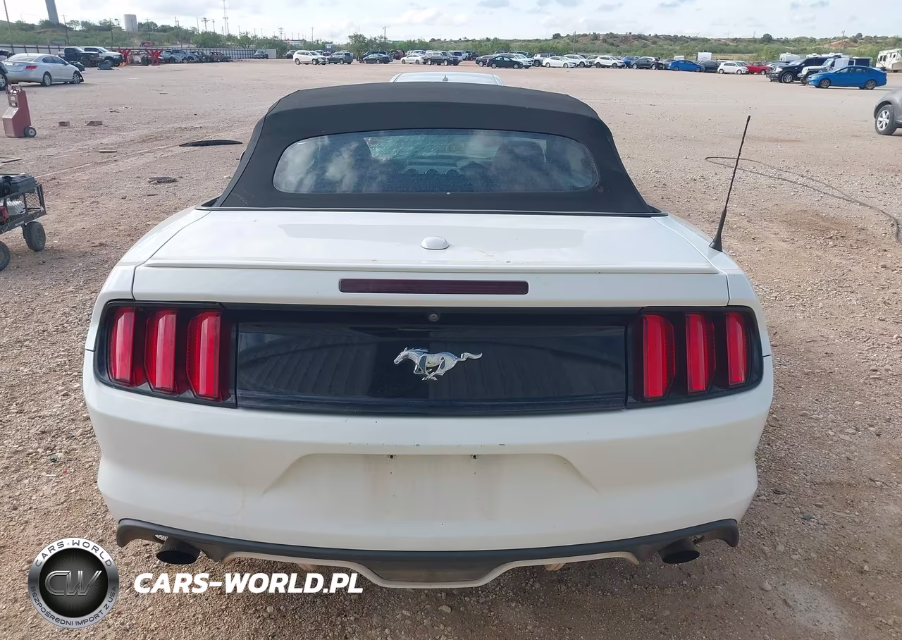 2016 Ford Mustang Ecoboost Premium VIN:1FATP8UHXG5243339 - 16