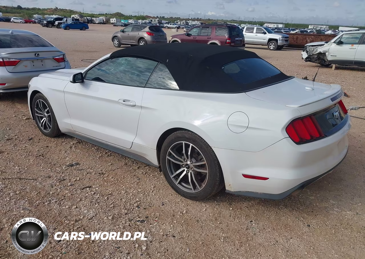 2016 Ford Mustang Ecoboost Premium VIN:1FATP8UHXG5243339 - 3