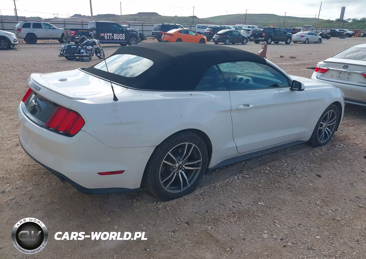2016 Ford Mustang Ecoboost Premium VIN:1FATP8UHXG5243339 - 4
