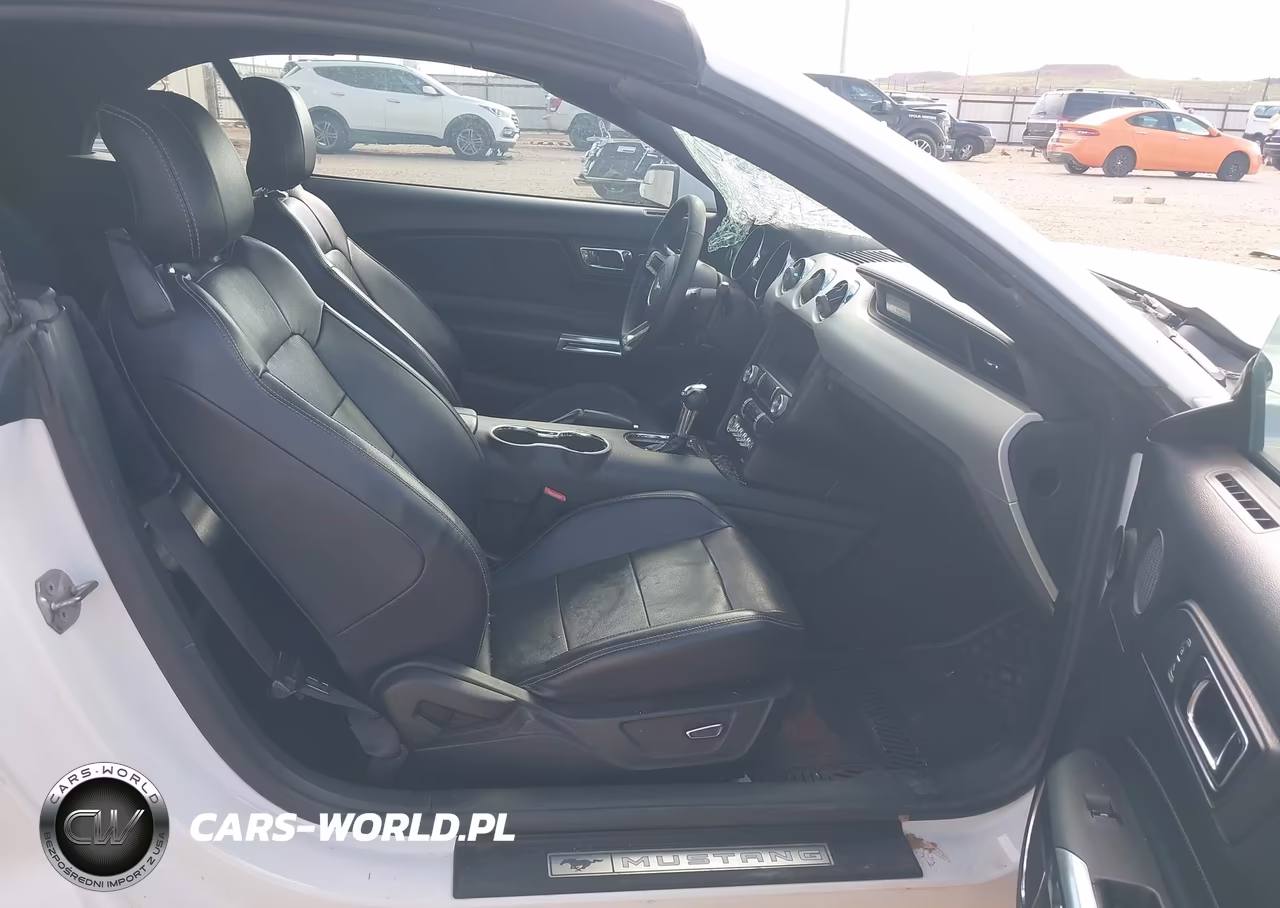 2016 Ford Mustang Ecoboost Premium VIN:1FATP8UHXG5243339 - 5