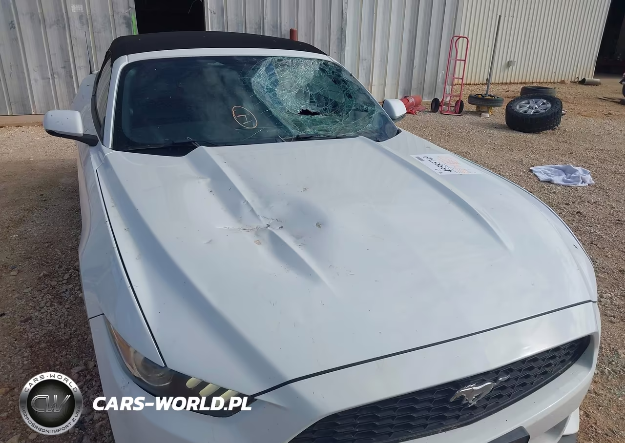 2016 Ford Mustang Ecoboost Premium VIN:1FATP8UHXG5243339 - 6