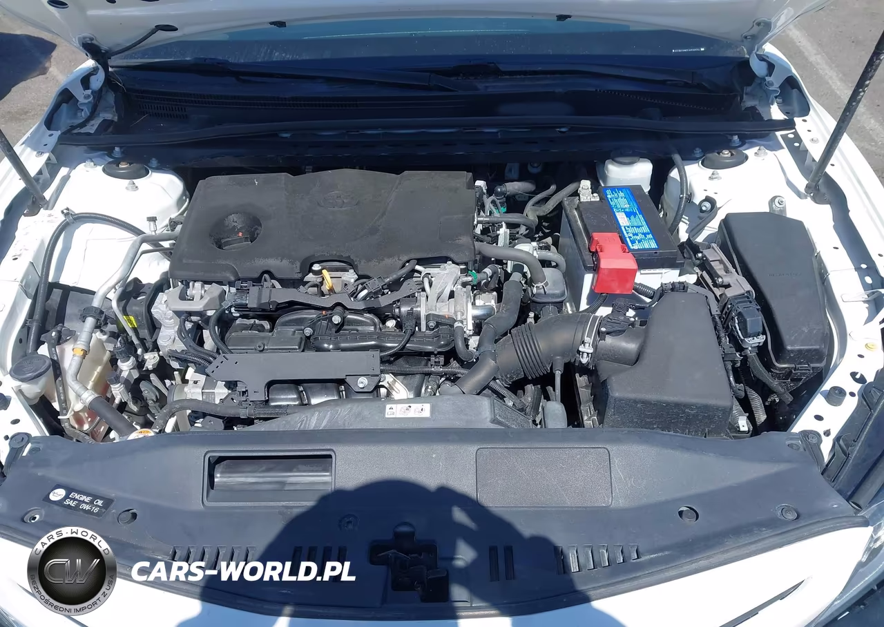 2018 Toyota Camry Se VIN:4T1B11HK2JU530574 - 10