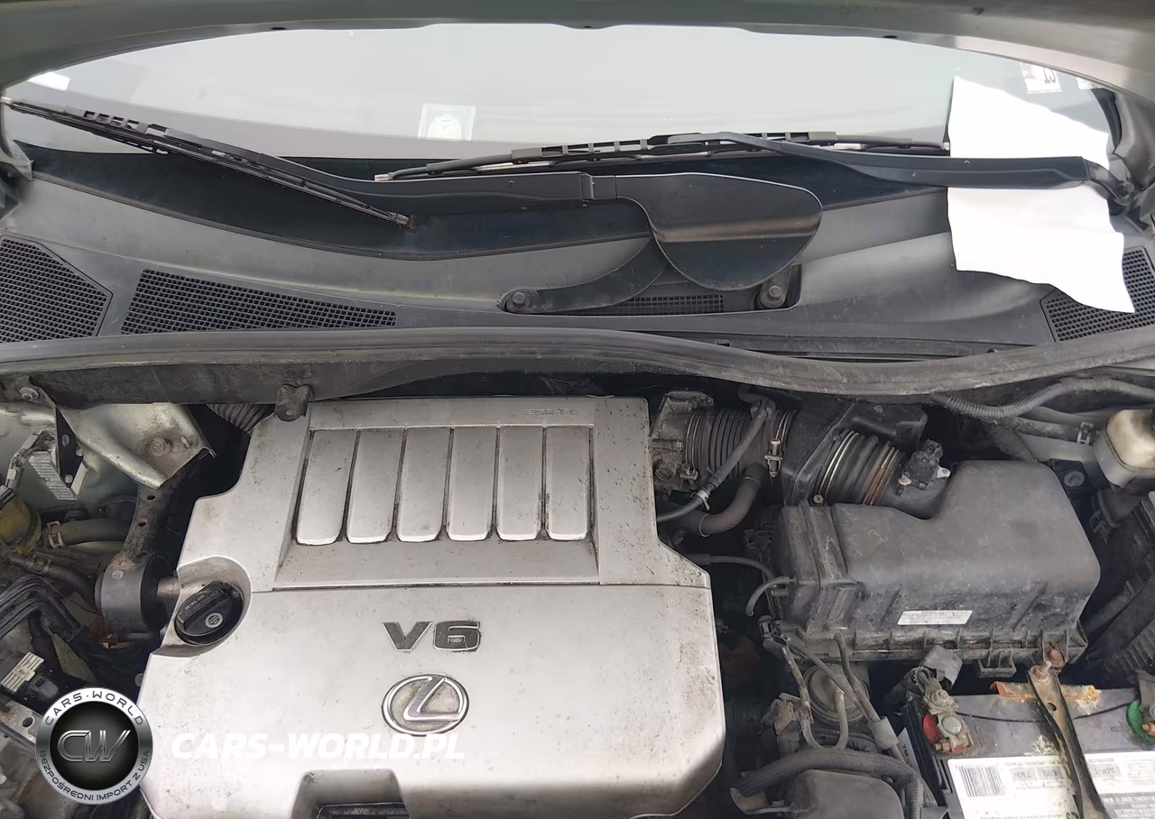 2007 Lexus Rx 350 VIN:2T2HK31U17C012850 - 10