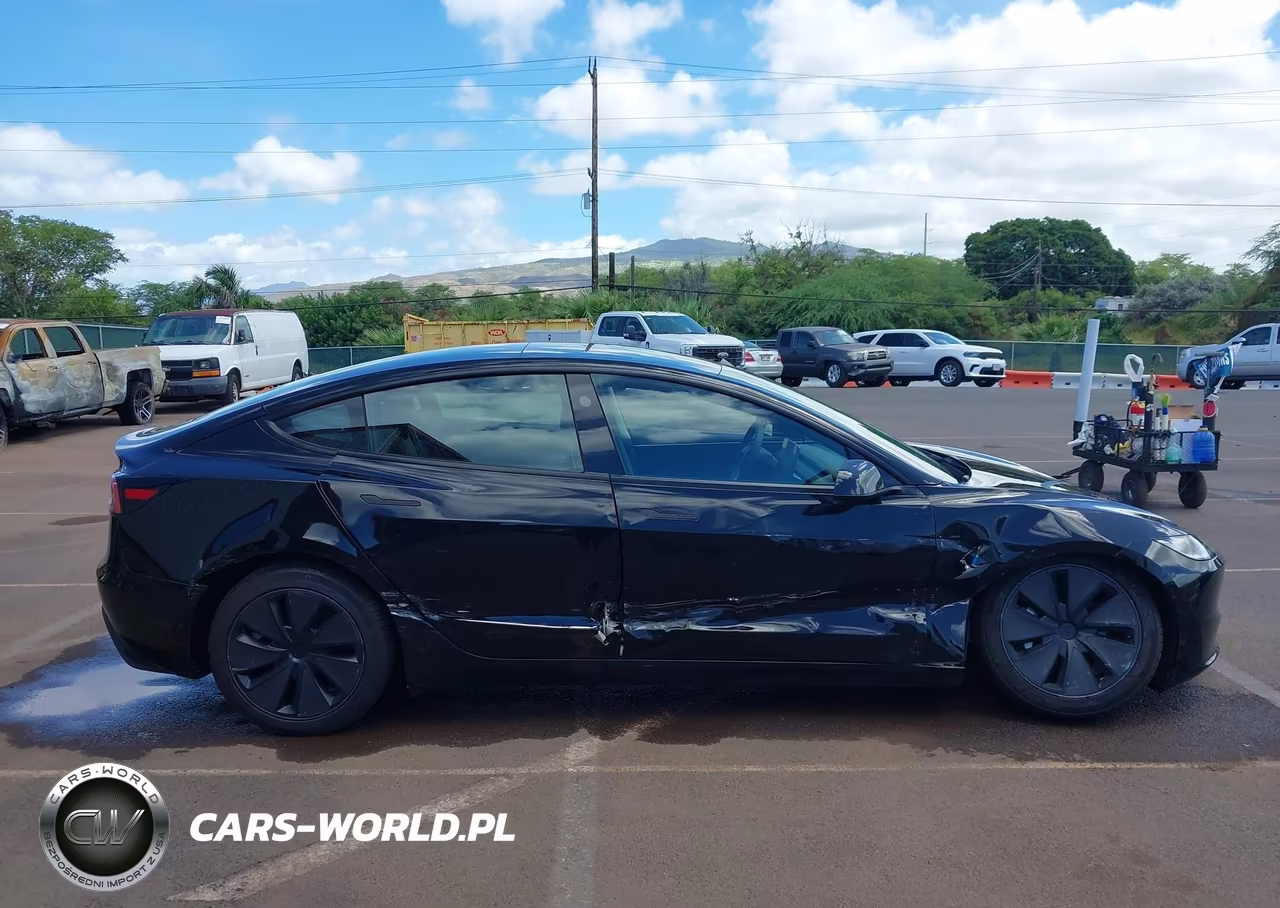 2025 Tesla Model 3 Long Range All-Wheel Drive VIN:5YJ3E1EB3SF049079 - 13