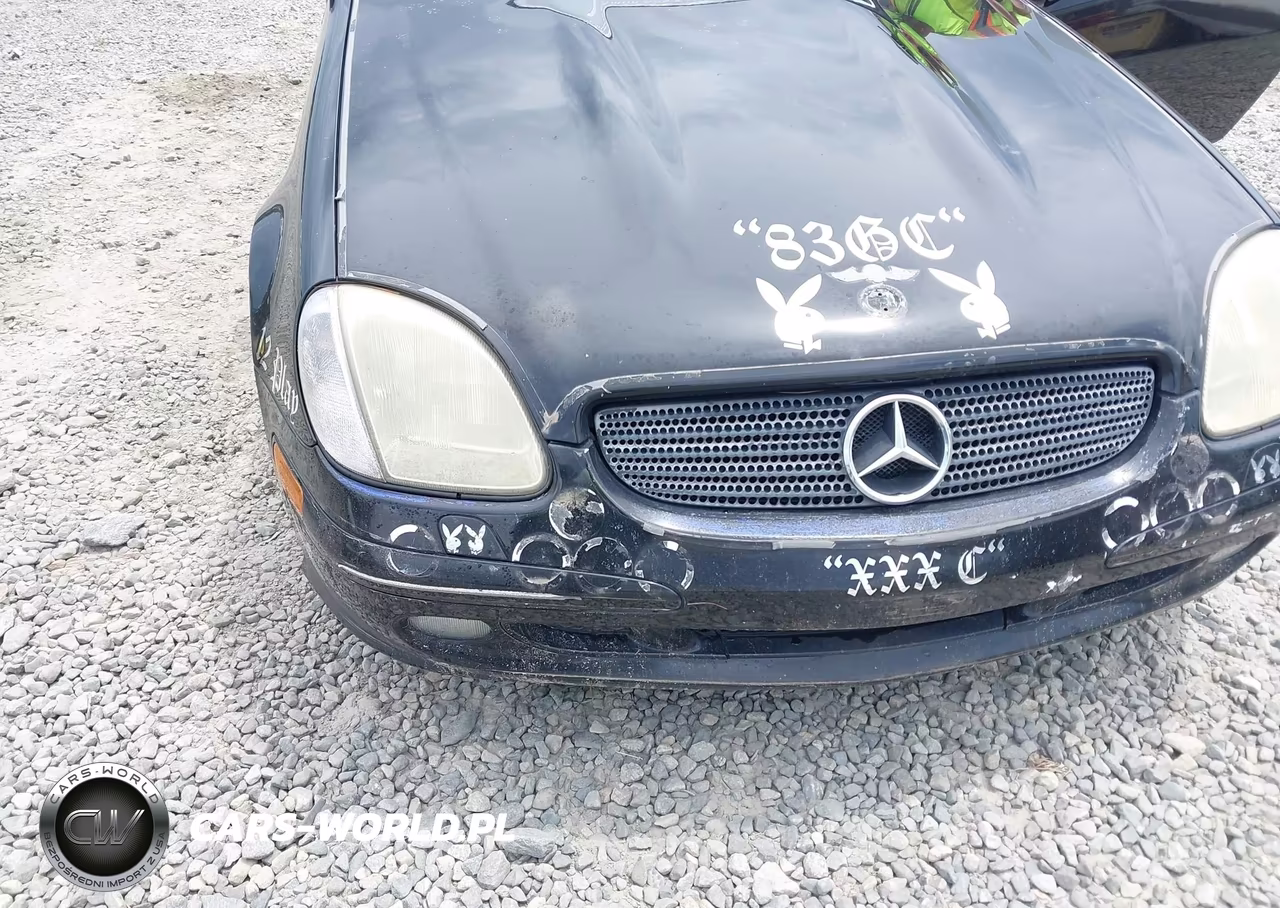 2001 Mercedes-Benz Slk 320 VIN:WDBKK65F51F177465 - 6