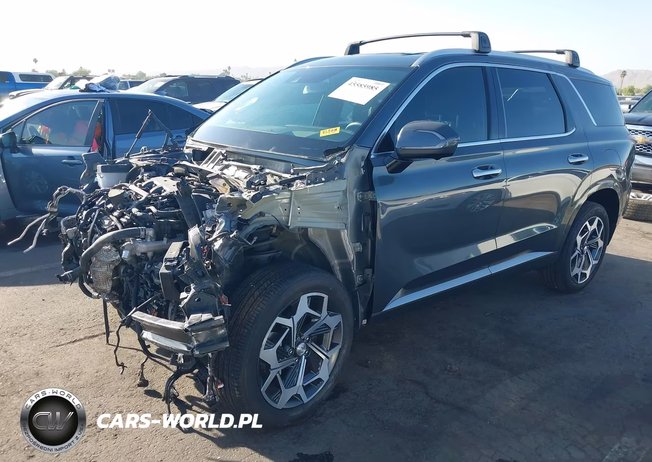 2022 Hyundai Palisade Calligraphy VIN:KM8R7DHEXNU462135 - 2