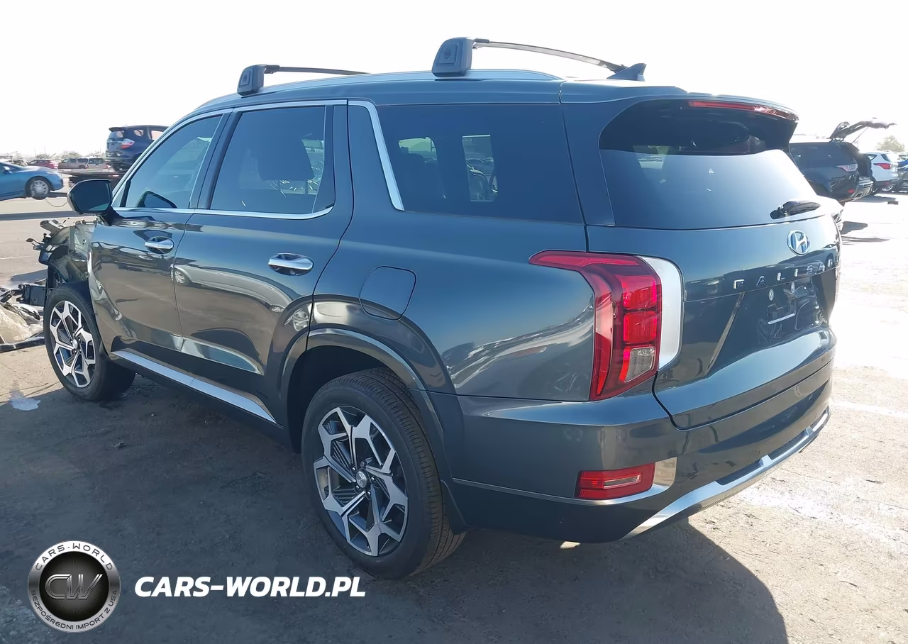 2022 Hyundai Palisade Calligraphy VIN:KM8R7DHEXNU462135 - 3